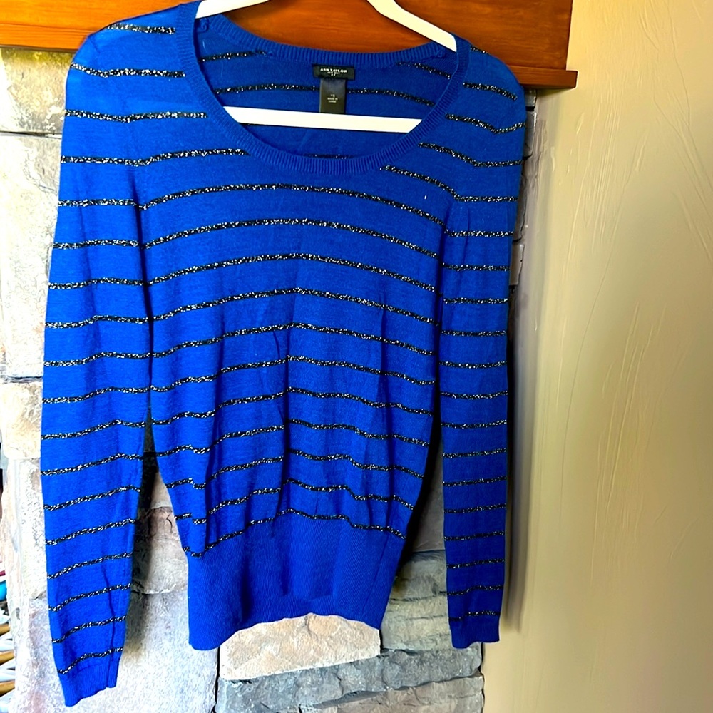 Ann Taylor Sparkly Stripe Sweater